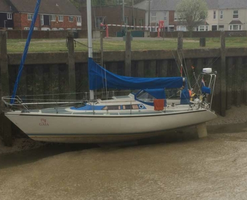 den Oever-Guernsey-11 Rye