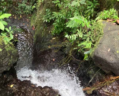 Vaiphi's river trail