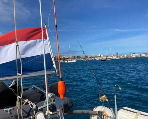 start of the arc '23 4 start of the arc '23