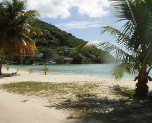 bermuda-114 bermuda-114