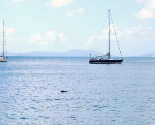 bermuda-136 bermuda-136