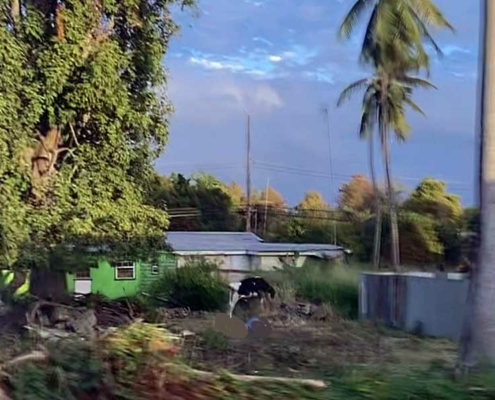 bridgetown-3 Bridgetown