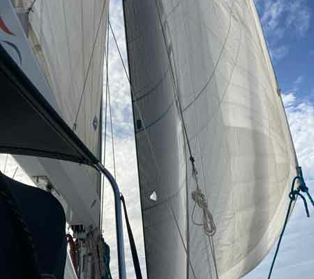 clause hauled 1 clause hauled