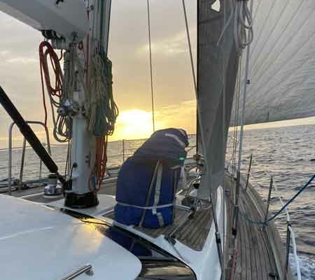 clause hauled 2 clause hauled