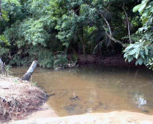 englishmans_bay_5 Tobago_englishmans_bay