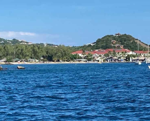 finish line finish line