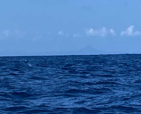 land in sight 1 land in sight