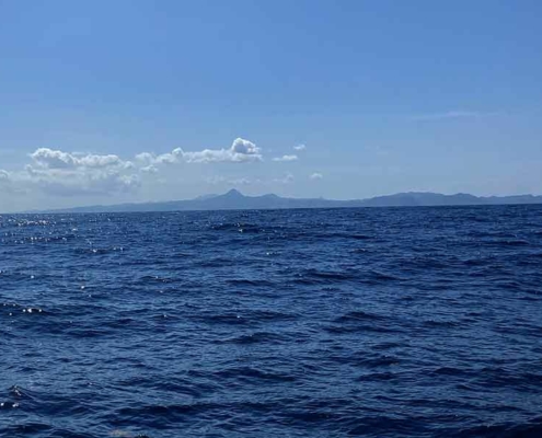 land in sight 2 land in sight