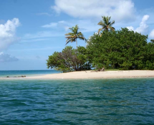 store_bay_5 Tobago_Store_bay