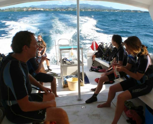 true_blue_marina_1 Grenada_true_blue_marina