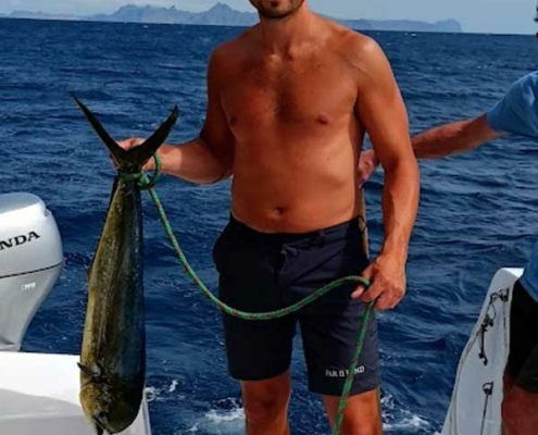 yellow-tail-tuna yellow tail tuna